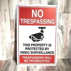 ブリキ看板☆ 防犯カメラ NO TRESPASSING 立入禁止 425