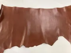 Item thumbnail for item 1aa0f934-947b-40be-bcea-044131a62157