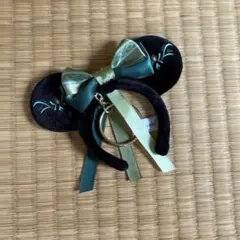 ディズニー　カチューシャ　キーチェーン　ファンタジースプリングス　アナ