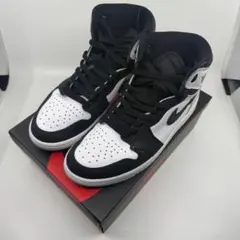 Nike Air Jordan 1 エアジョーダン ナイキ 27サイズ