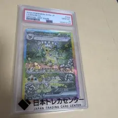 2026年最新】リーフィアsar psa10の人気アイテム - メルカリ