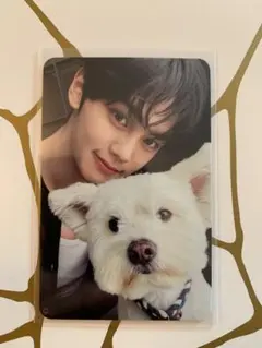 ZB1 ギュビン NEVERSAYNEVER デジパ 封入 トレカ 犬