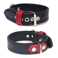 Item thumbnail for item e0b5bad7-c87e-4971-9328-fec63586894e