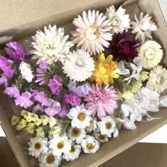 ✩ohana⭐︎様 リクエスト 2点 まとめ商品