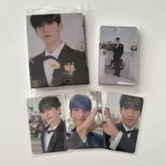 SEVENTEEN ドギョム DK FML carat盤 バインダー トレカ