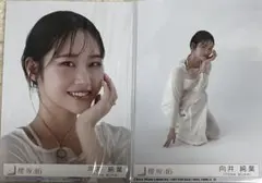 櫻坂46 石森璃花 生写真 addiction 封入 ヨリ座り - メルカリ
