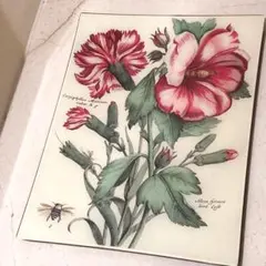 JOHN DERIAN ジョンデリアン デコパージュプレート　ラージサイズ