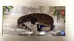2025年最新】一番くじ 爬虫類 ラストワンの人気アイテム - メルカリ
