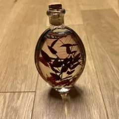 ハーバリウムボトル？　赤い植物入り　置き物