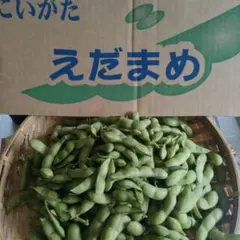 新潟県産　おつな姫ランクB1キロ　枝豆のサムネイル