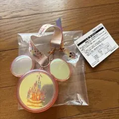 【9月28日まで】40周年 ミニスナックケース スーベニア ディズニー