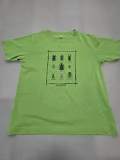 mont-bell　昆虫 　ウィックロンTシャツ 140サイズ