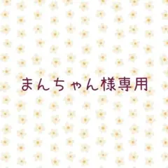まんちゃん様専用ページ