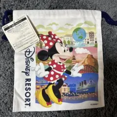 ミッキー ミニー の巾着