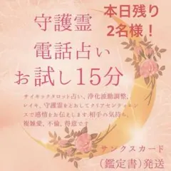 本日限定3名様‼️初めての方向け／初めての電話占い／守護霊タロット占い／鑑定書発送