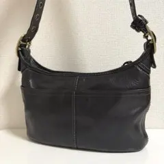 Item thumbnail for item 4fc90411-fcb5-4051-8e77-b4f6f0ee31fc