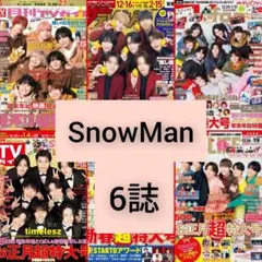 TVガイド ザテレビジョン TVfan TVLIFE SnowMan