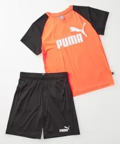 PUMA Tシャツ・ショートパンツセット 150cm