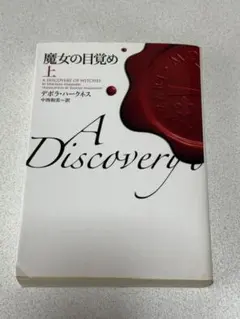 2026年最新】魔女の目覚め 上 (ヴィレッジブックス)の人気アイテム