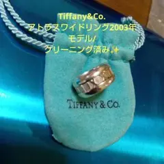 未使用 TRANS CONTINENTS シルバー メンズ リング 16号 - メルカリ