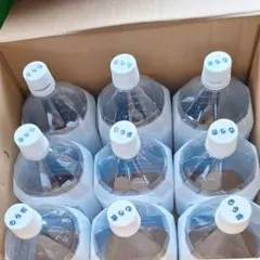 Item thumbnail for item 8c065432-dadb-4eb6-b58f-f2ec5ac27cf3