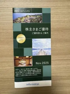 2026年最新】西武ホールディングス共通割引券の人気アイテム