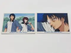 テニスの王子様 トレーディングカード vol.6 向日岳人 2枚セット