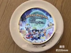 2025年最新】ディズニー プレート オープニングの人気アイテム