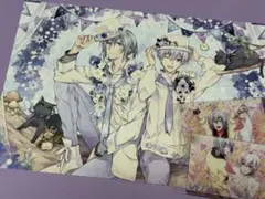 MEZZO\" カラフル ビジュカ アイナナ カラフル/MEZZOビジュアルカードセット MEZZO