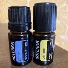 2025年最新】ゼンジェストの人気アイテム - メルカリ