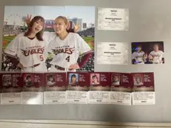 平成フラミンゴ楽天イーグルスカードコンプセット