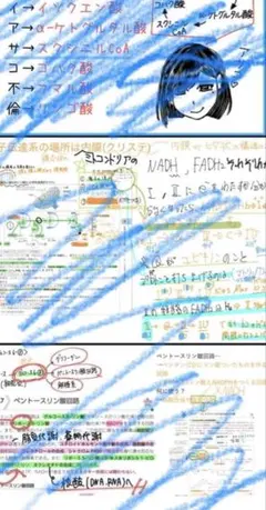 2026年最新】薬剤師国家試験 ノートの人気アイテム - メルカリ