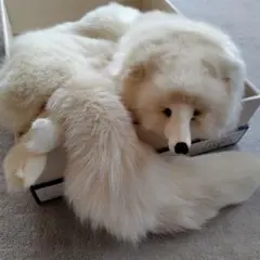WHITE FOX毛皮ショール　成人式やパーティにのサムネイル