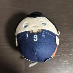 【ハイキュー!!】ふわころ　影山