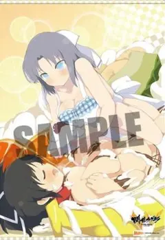 閃乱カグラ ESTIVAL VERSUS/エビテン特典 B2サイズ タペストリー