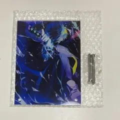 Crazy Raccoon　VanilLa