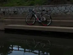 クロモリ ピスト シングルフリー 46×17T 室内保管 直接手渡可(神奈川県) 楽天市場】ed（カラーシルバー）（ピストバイク｜自転車