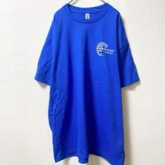 美品✨ギルダン Ｔシャツ 丸首 半袖 ワンポイント 縦縞 青 綿 普段着