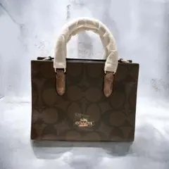 Item thumbnail for item 2b2ae05c-2008-4f16-8ea9-0b45cc1f7f5f