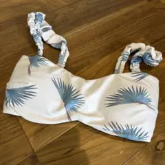 アリシアスタン ヤシの木