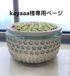 kayaaa様専用ページをご用意いたしました。 内容のご確認をお願いいたします。