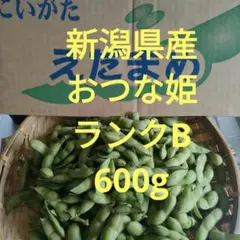 新潟県産　おつな姫ランクB600g 枝豆　えだまめのサムネイル