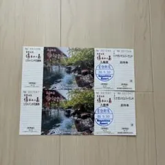 湯あみの島入場券2枚セットのサムネイル