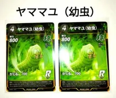 2025年最新】ヤママユの人気アイテム - メルカリ