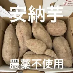 まさまさ様専用★安納芋★農薬不使用★２キロ