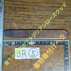 Item thumbnail for item 21304101-782d-4383-8faf-5650bace7a24