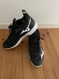 Mizuno WAVE DIVERSE DE 2 24.0cm - メルカリ