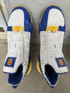 レブロン16 SB スーパーブロン　スパブロン