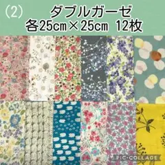 (2)ダブルガーゼ　まとめ売り　各25×25 １2枚セット