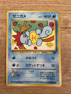 ゼニガメ イントロパック　37番
